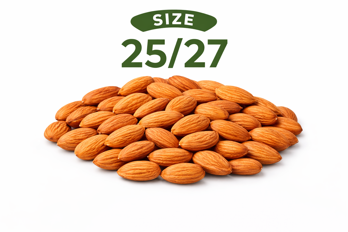 Almond 25/27