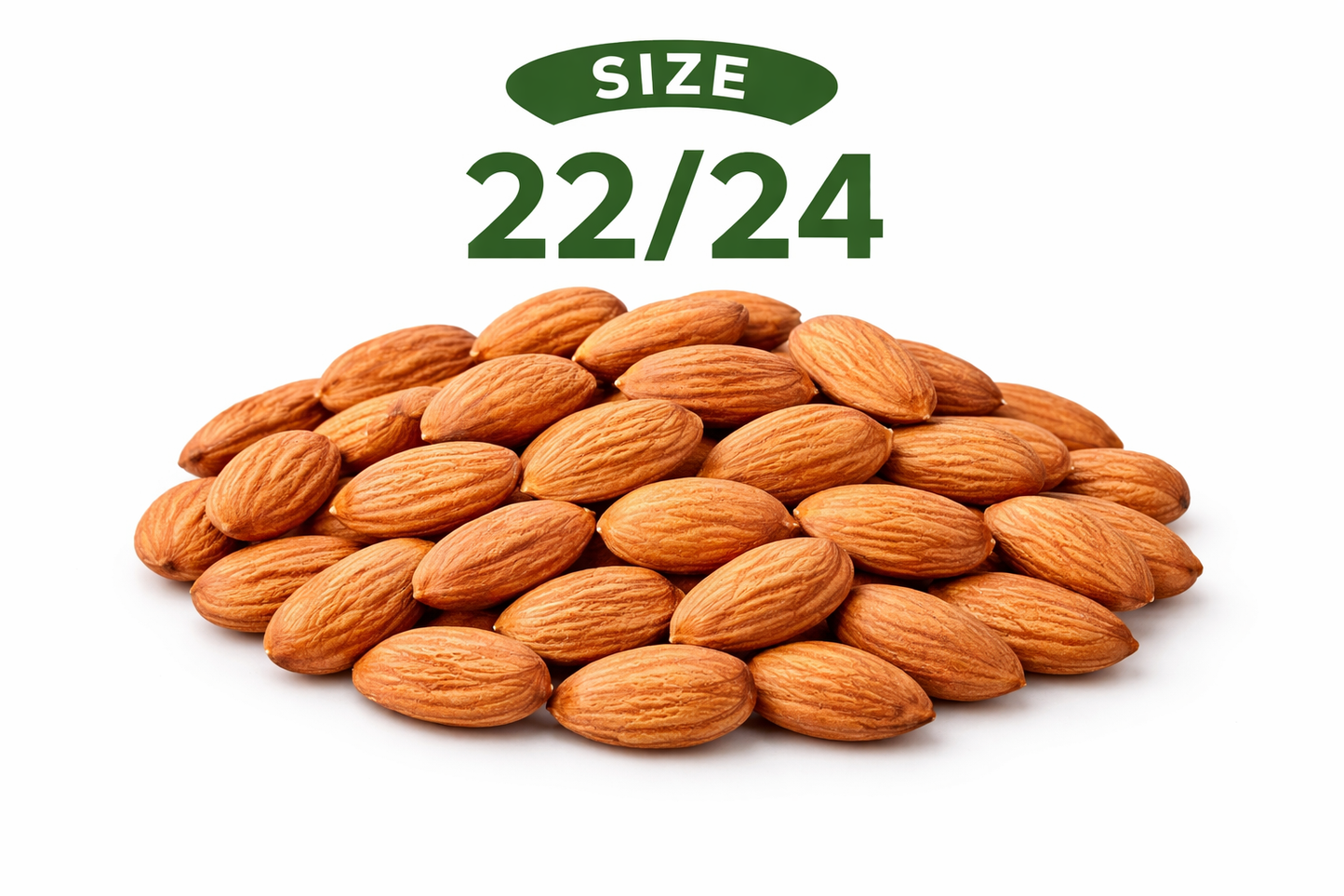 Almond 22/24
