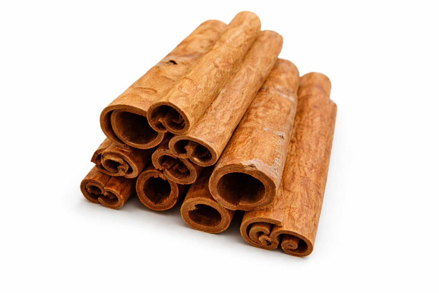 Cassia Tube (Sri Lanka)