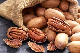 Pecan Nut Shell
